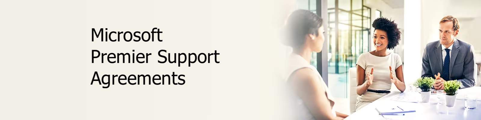 Microsoft Premier Support agreements