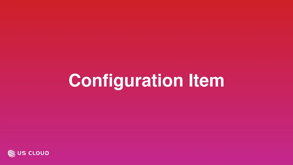 Configuration Item