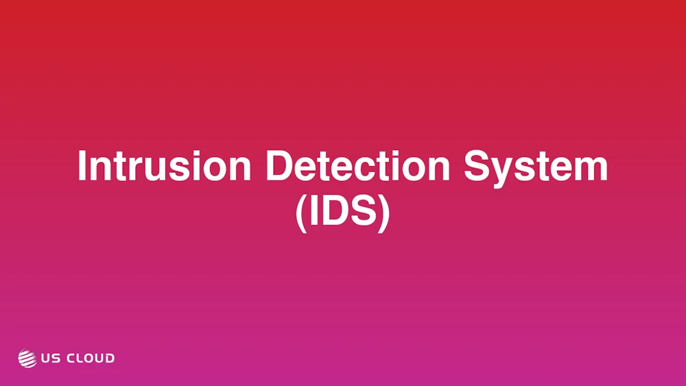 Intrusion Detection System (IDS)