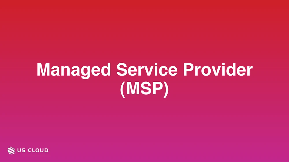 Managed Service Provider (MSP)