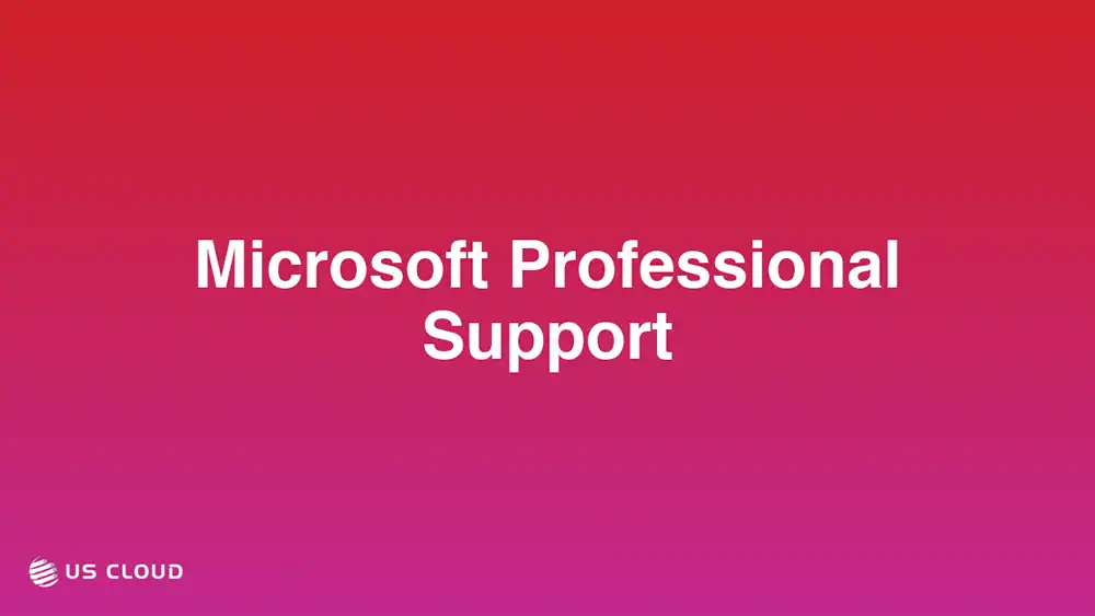 Microsoft Professional Support