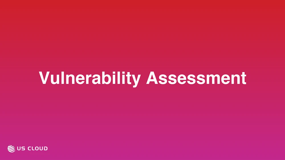 Vulnerability Assessment